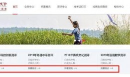 鹏程最新爆料消息,揭秘行业背后惊人内幕